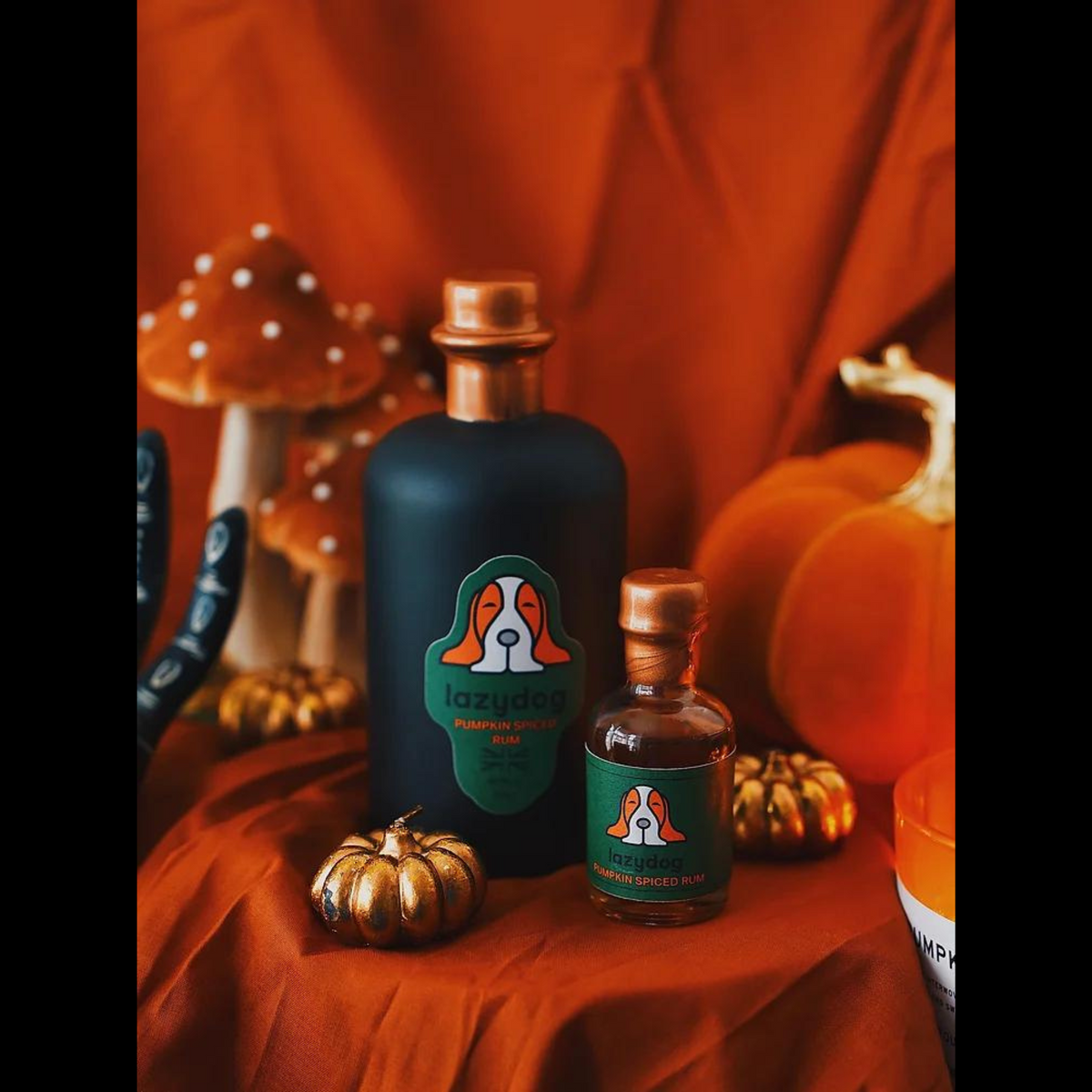 Lazydog Pumpkin Spiced Rum bottle