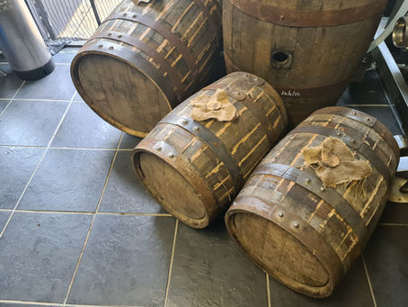 Which Wood and Why?!